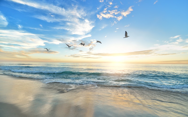 Gorleston Beach: Great Yarmouth's Hidden Gem