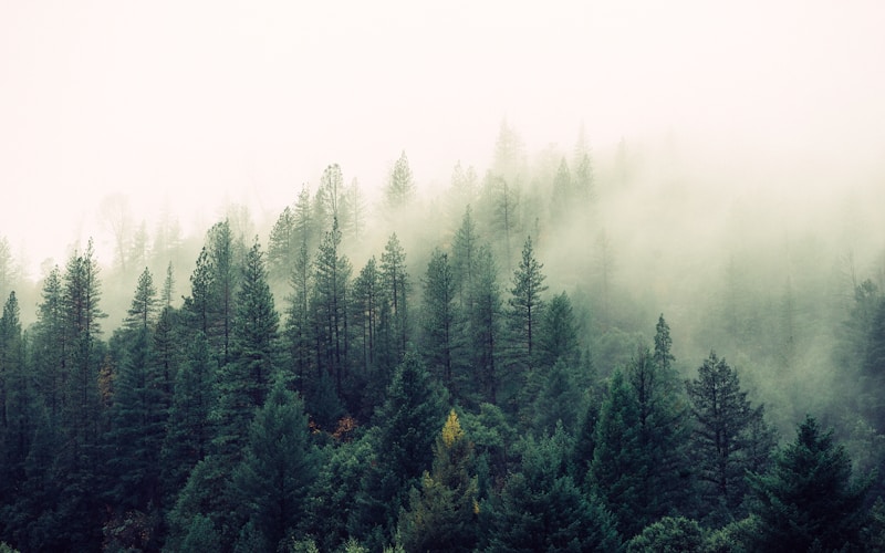 Great Yarmouth Holiday: The Ultimate Packing List