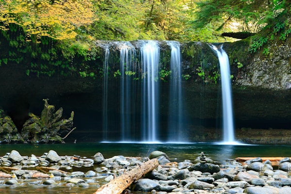 Great Yarmouth Race Days: A Thrilling Guide